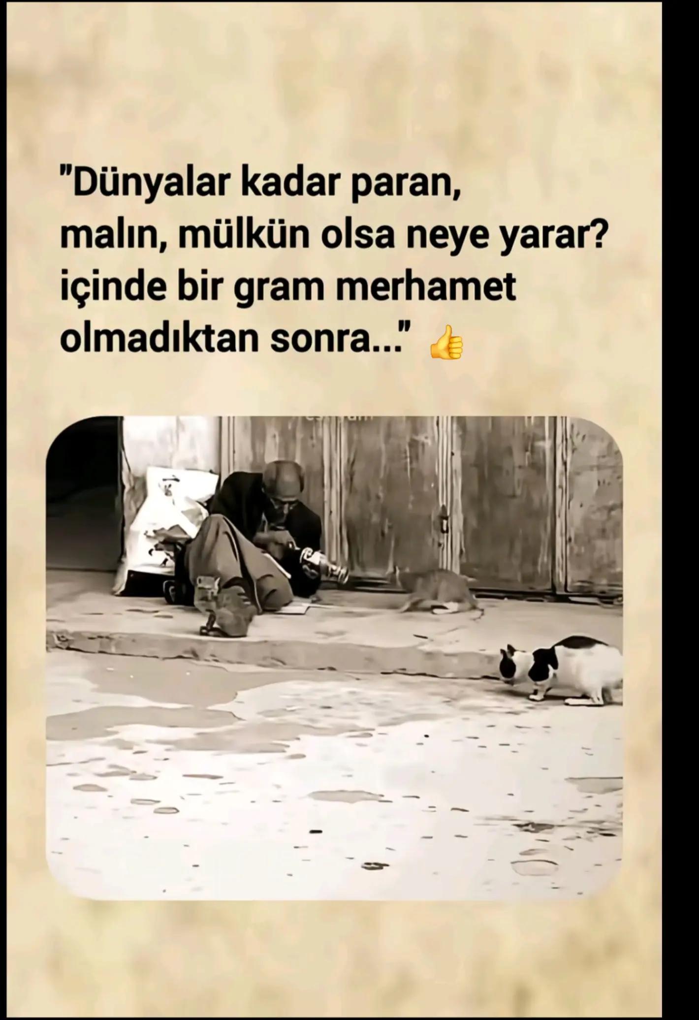 @fidansamet68