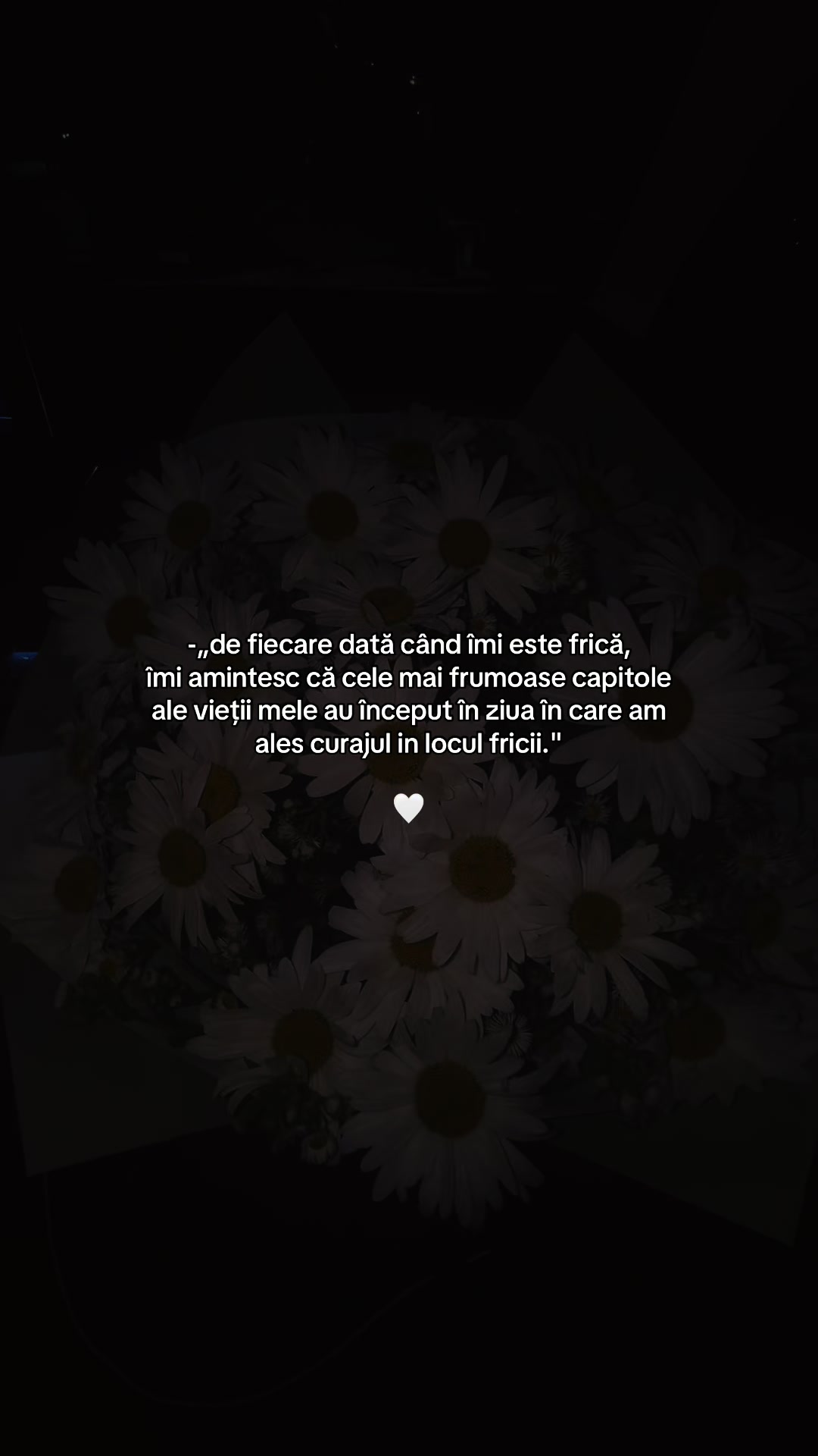 @C C C 🤍