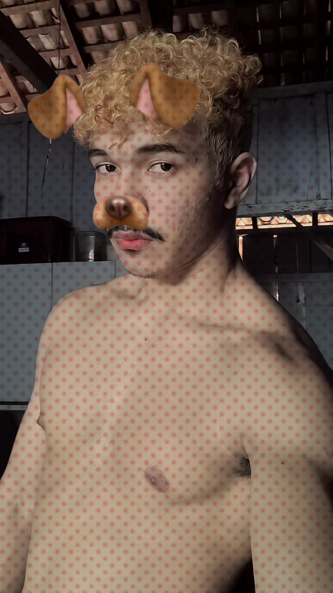 @gabinelzin