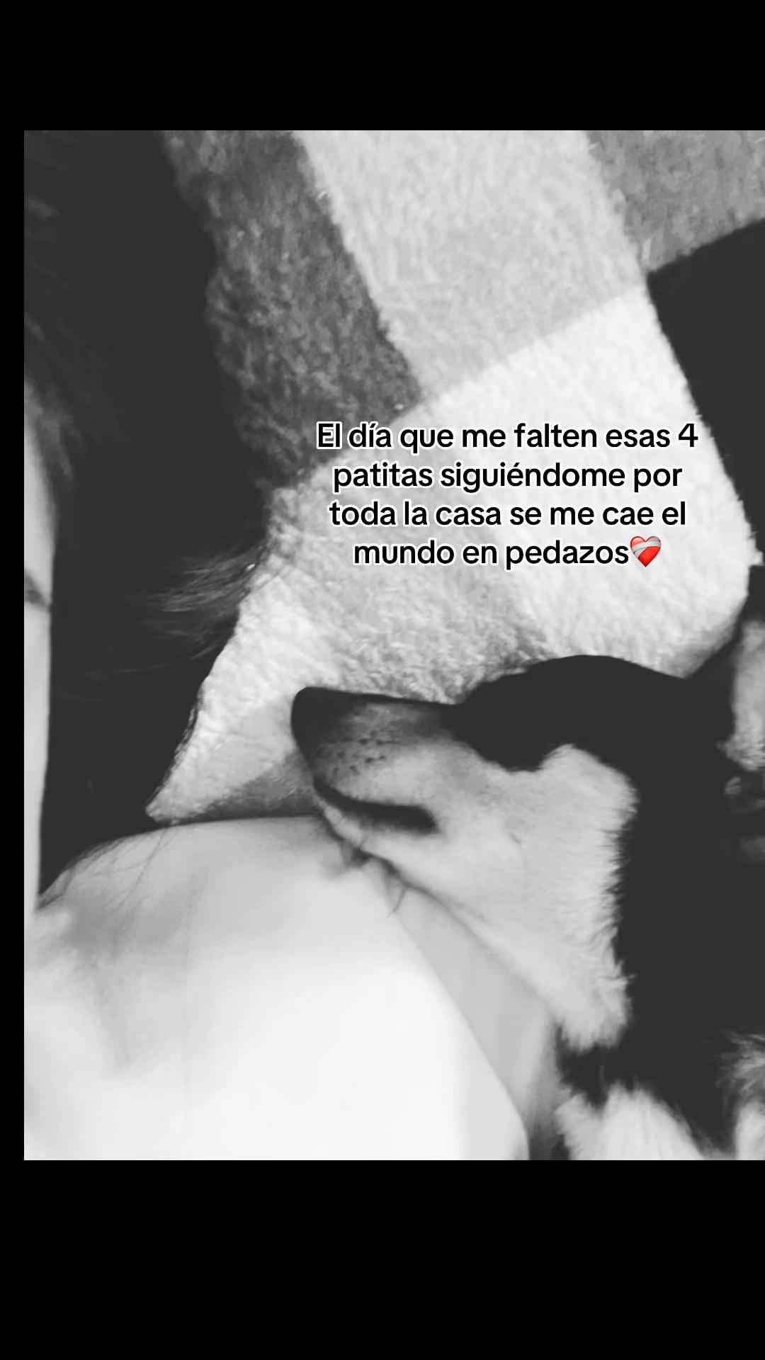 @Nicole
