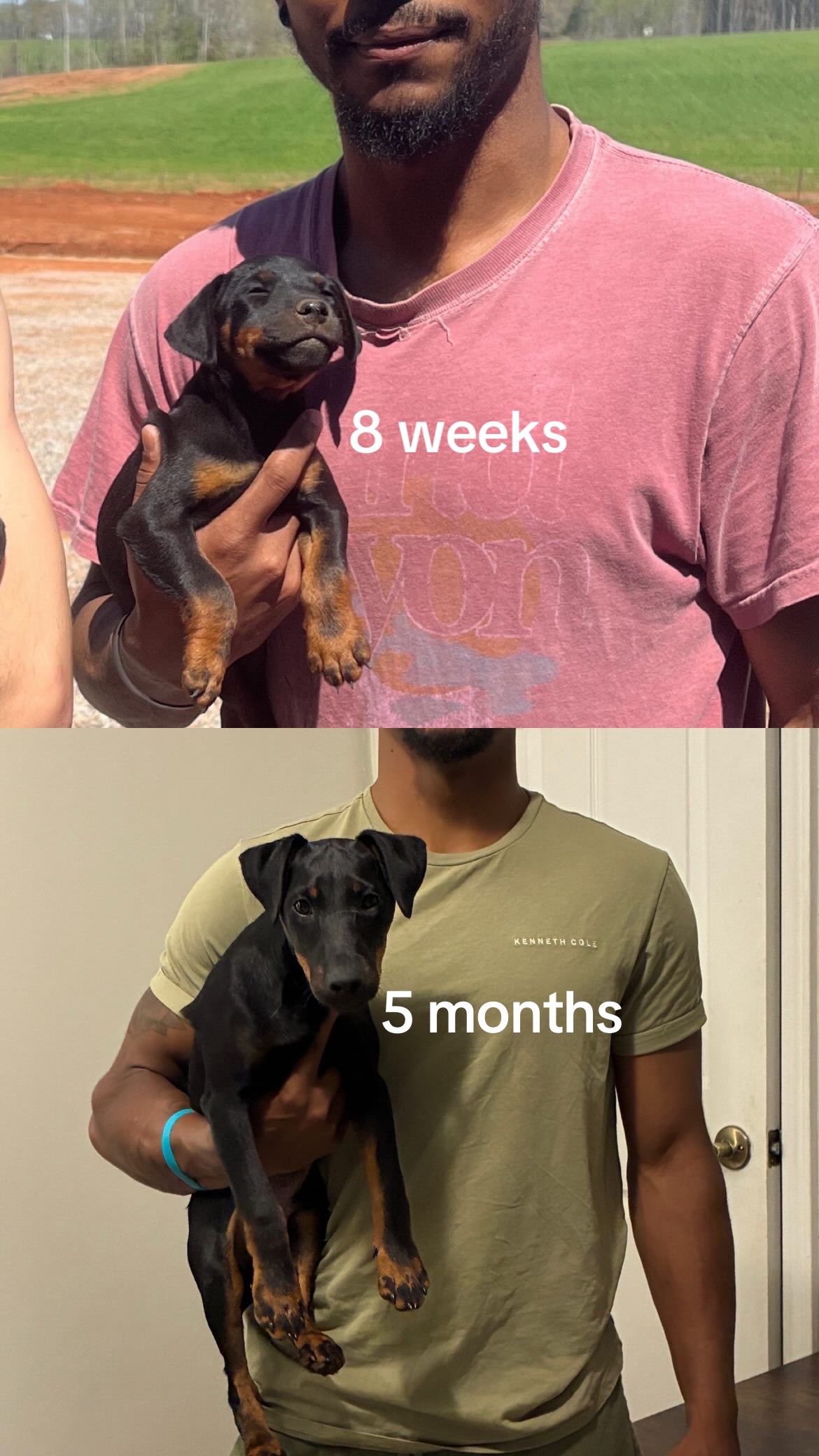 @jagdshit