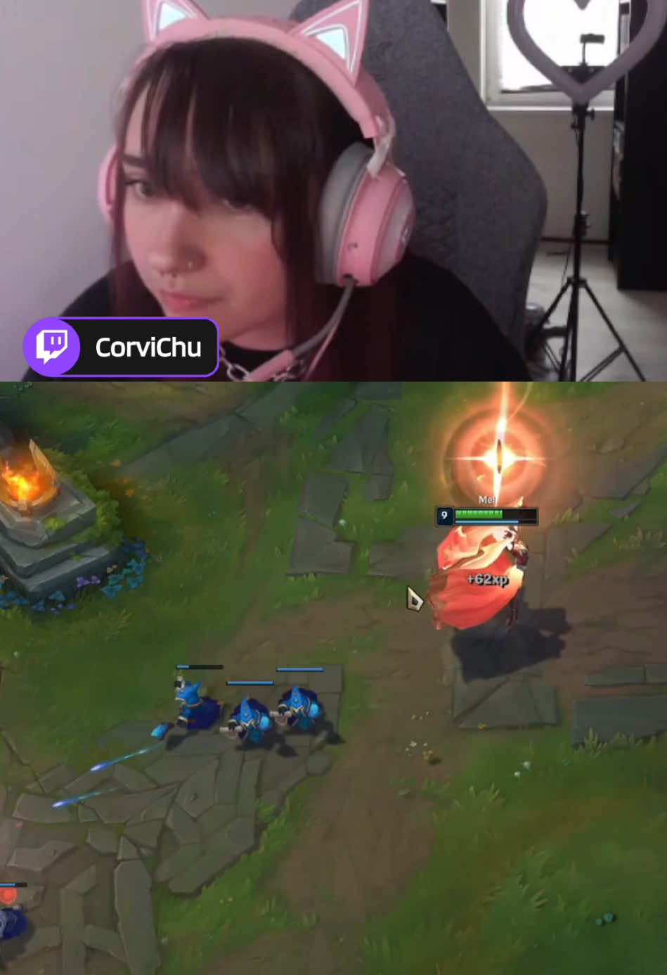 @corvi.chu