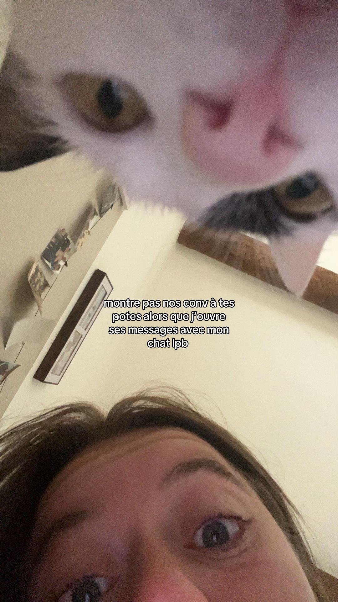 @babouch