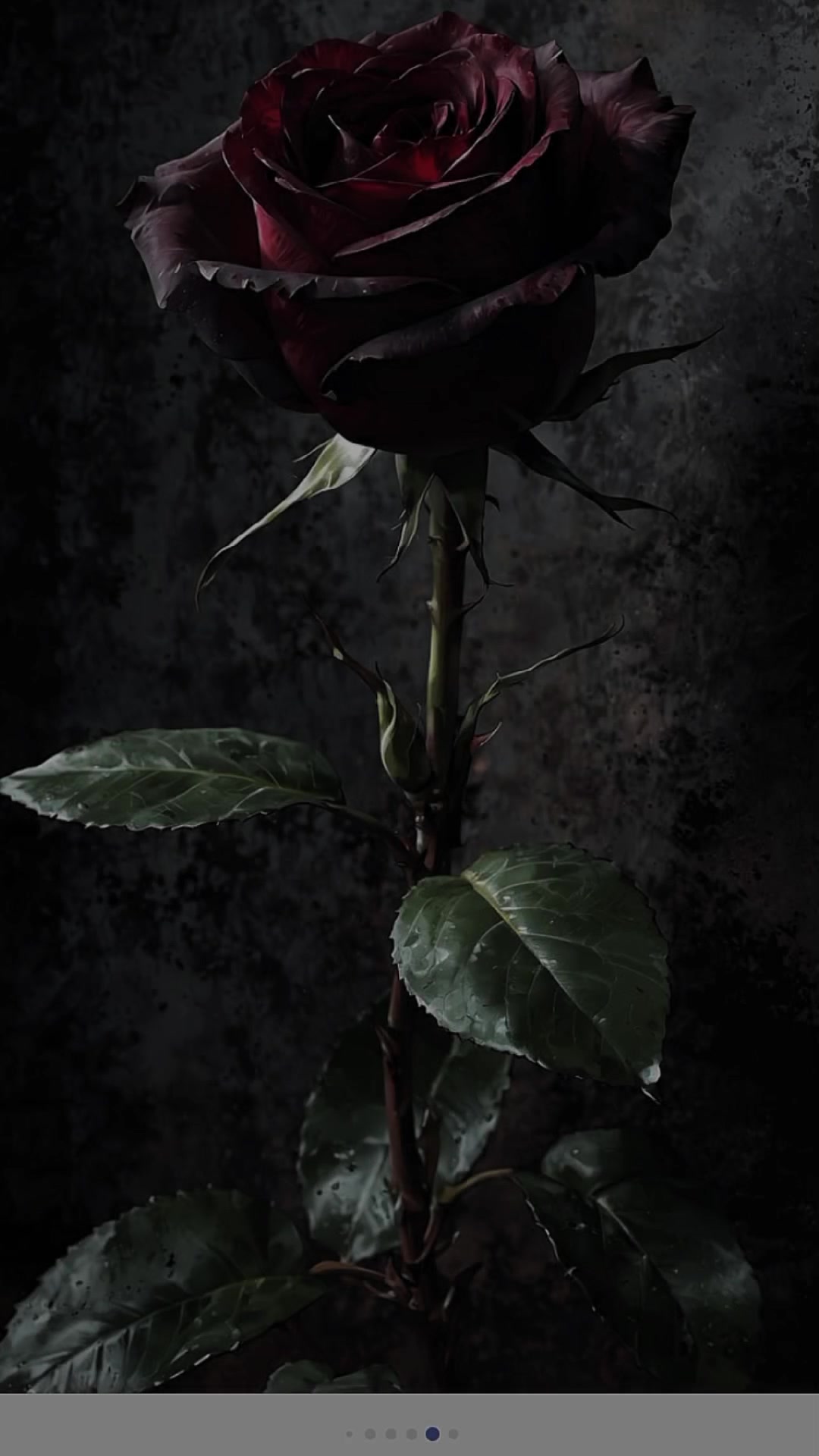 @Miray😔💔🥀