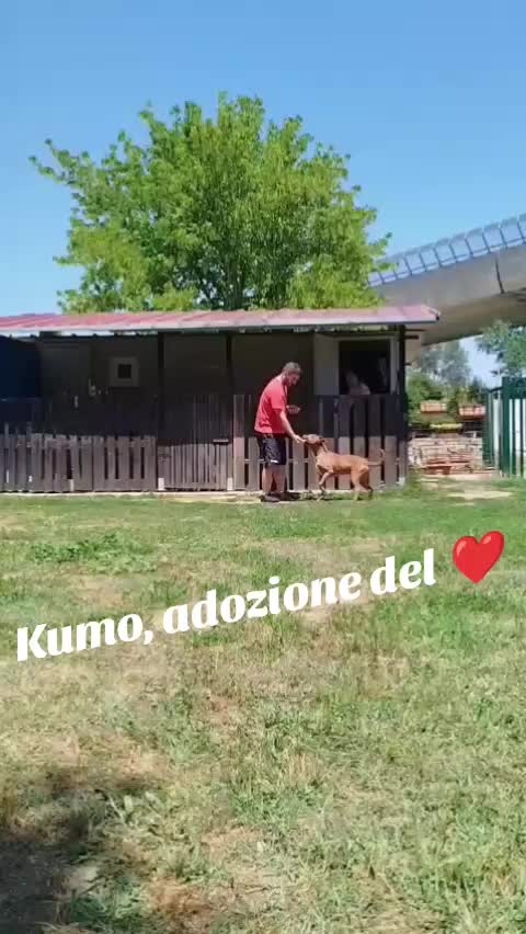 @code felici