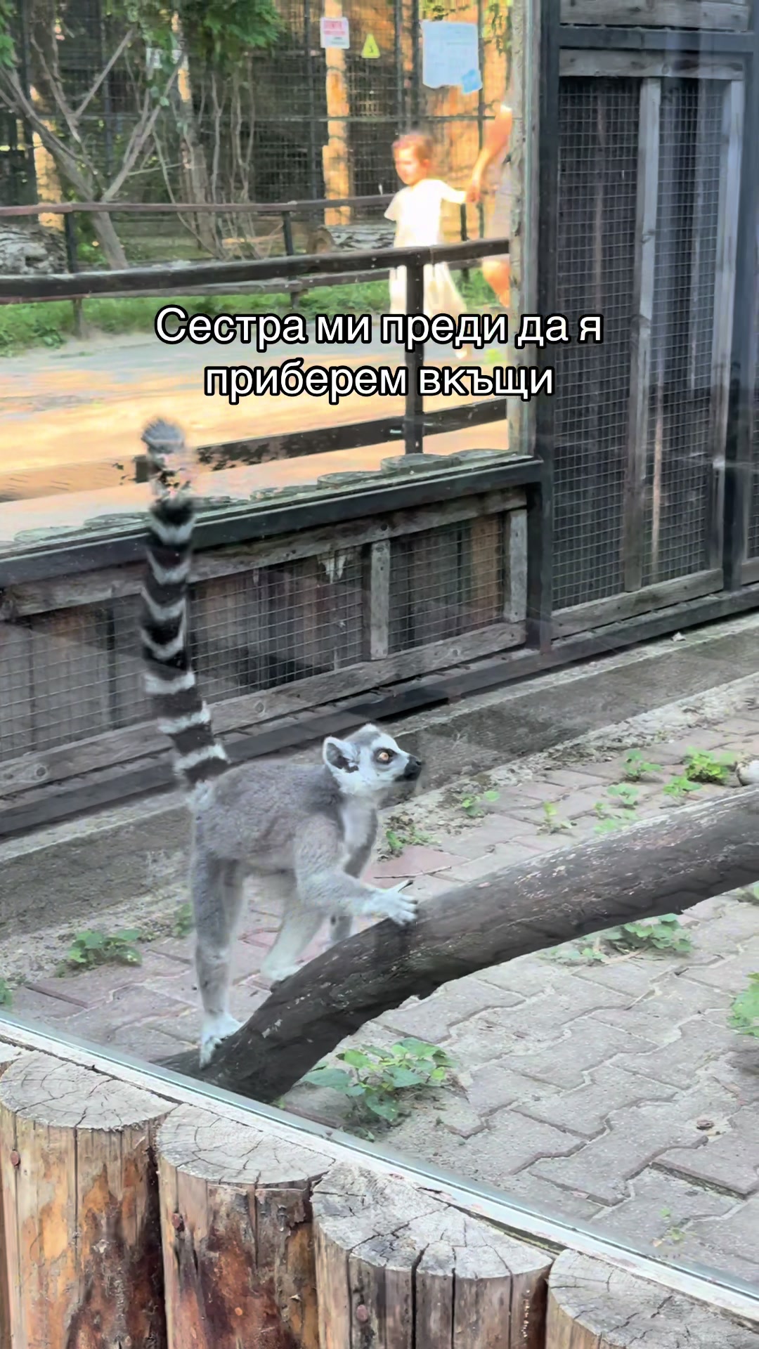 @Ani Todorova