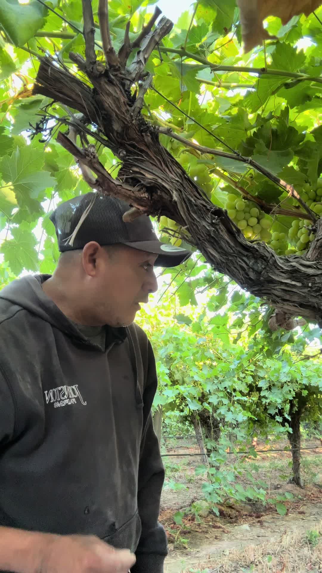 @chiquilin Mart&iacute;nez Vlog
