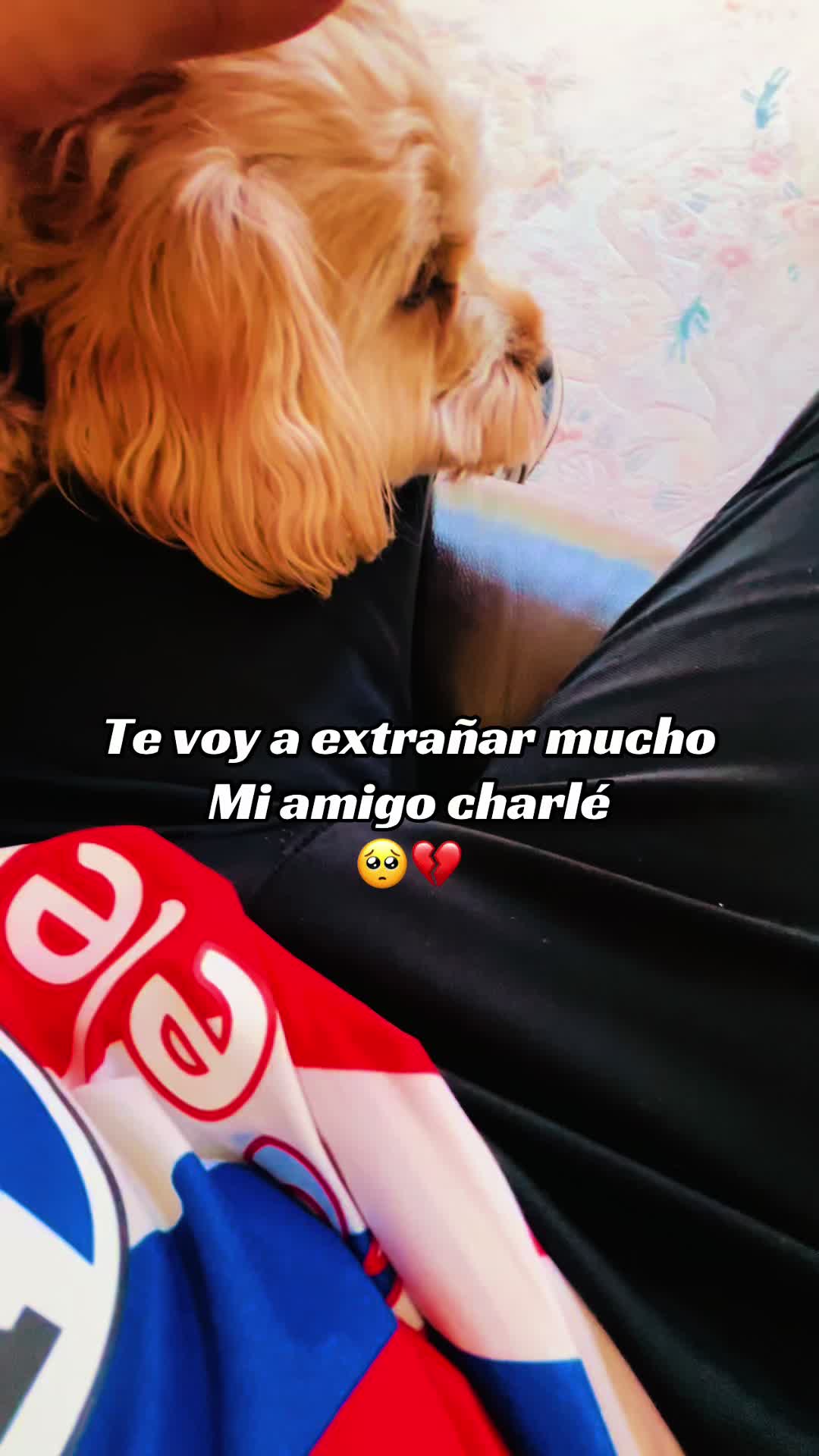 @SAMMY LÓPEZ