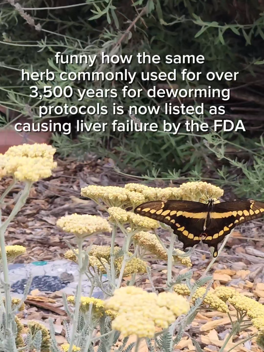 @The Garden Cure Company