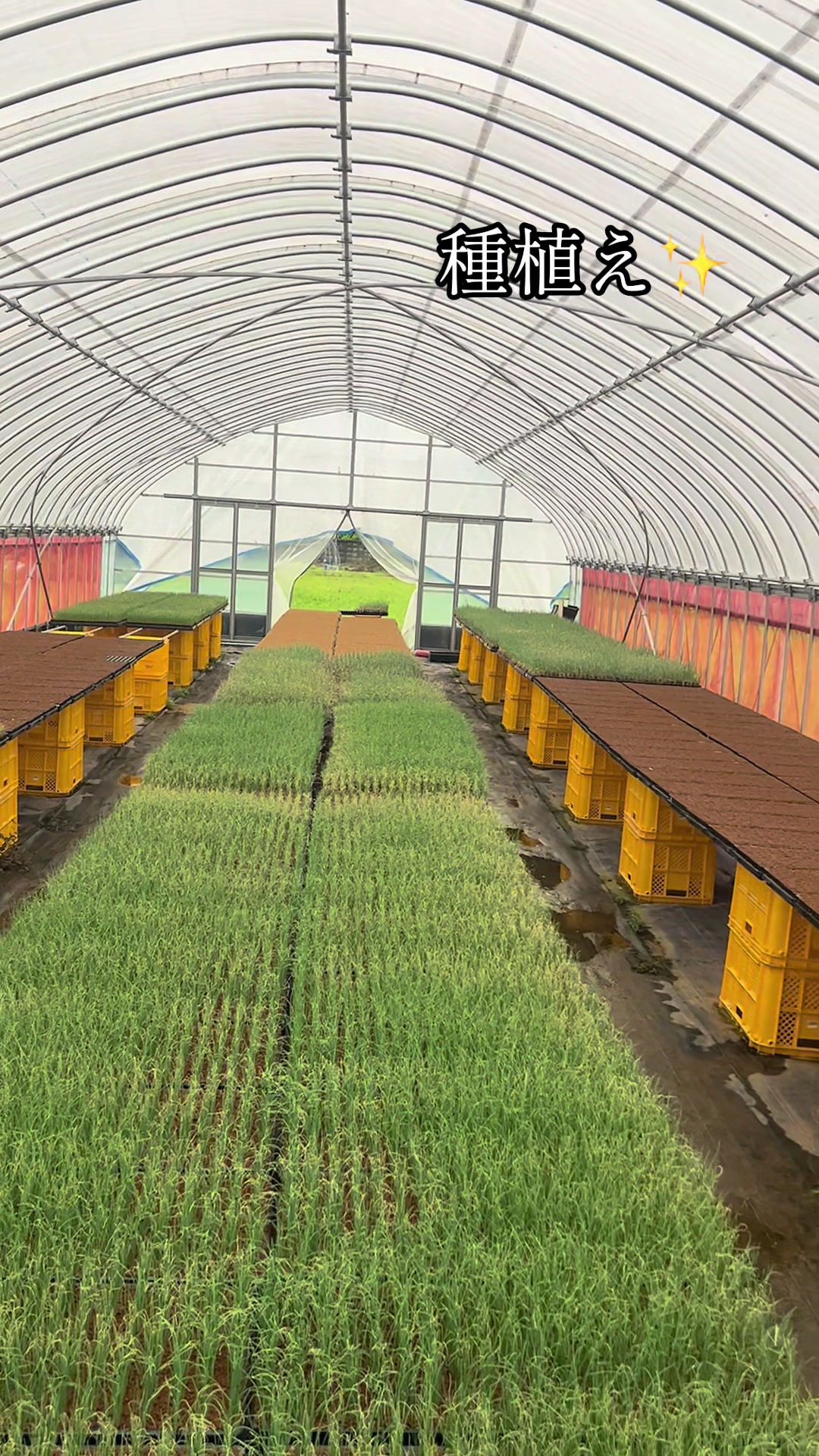 @snup.farm