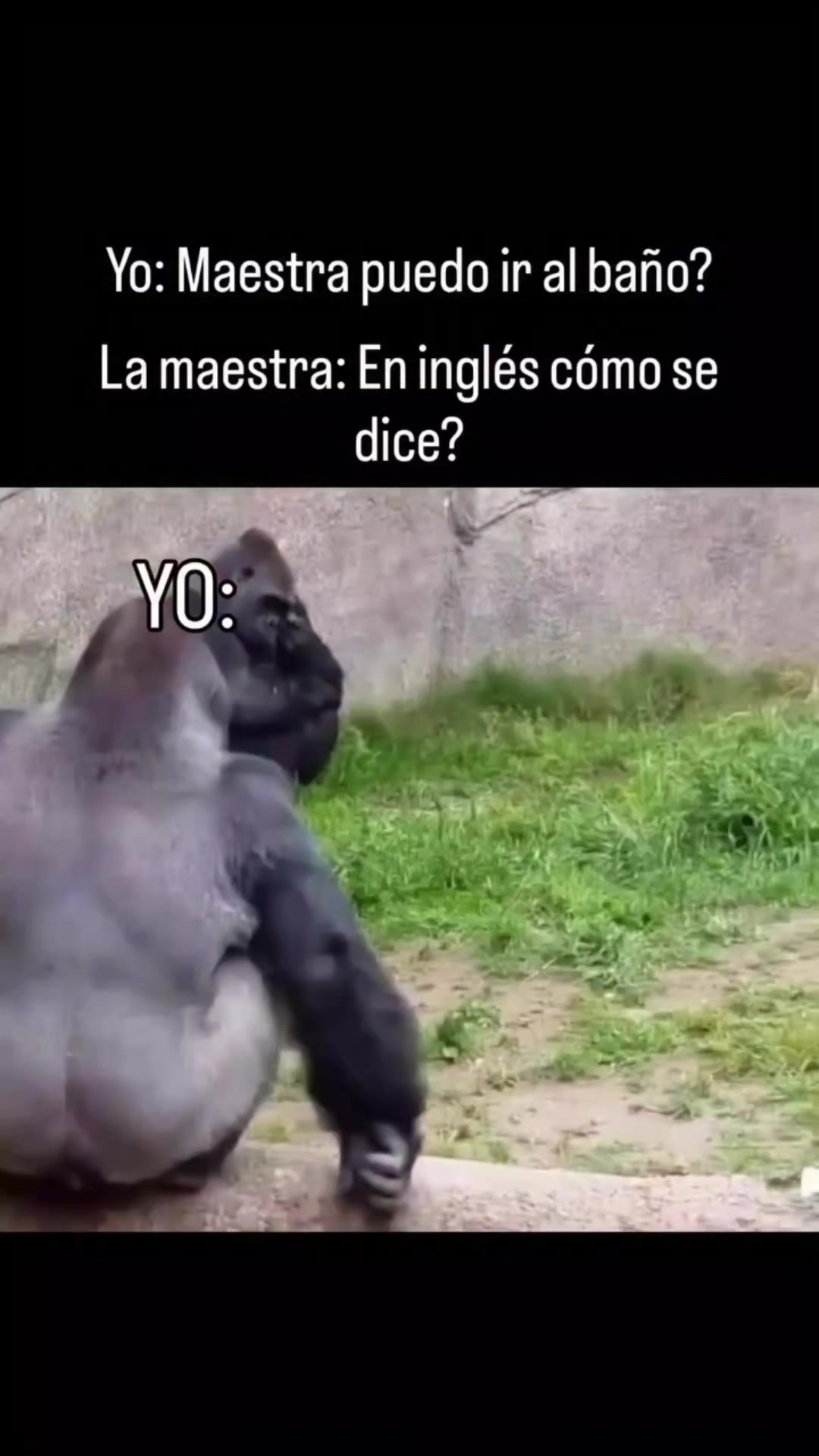 @Memes Deapeso