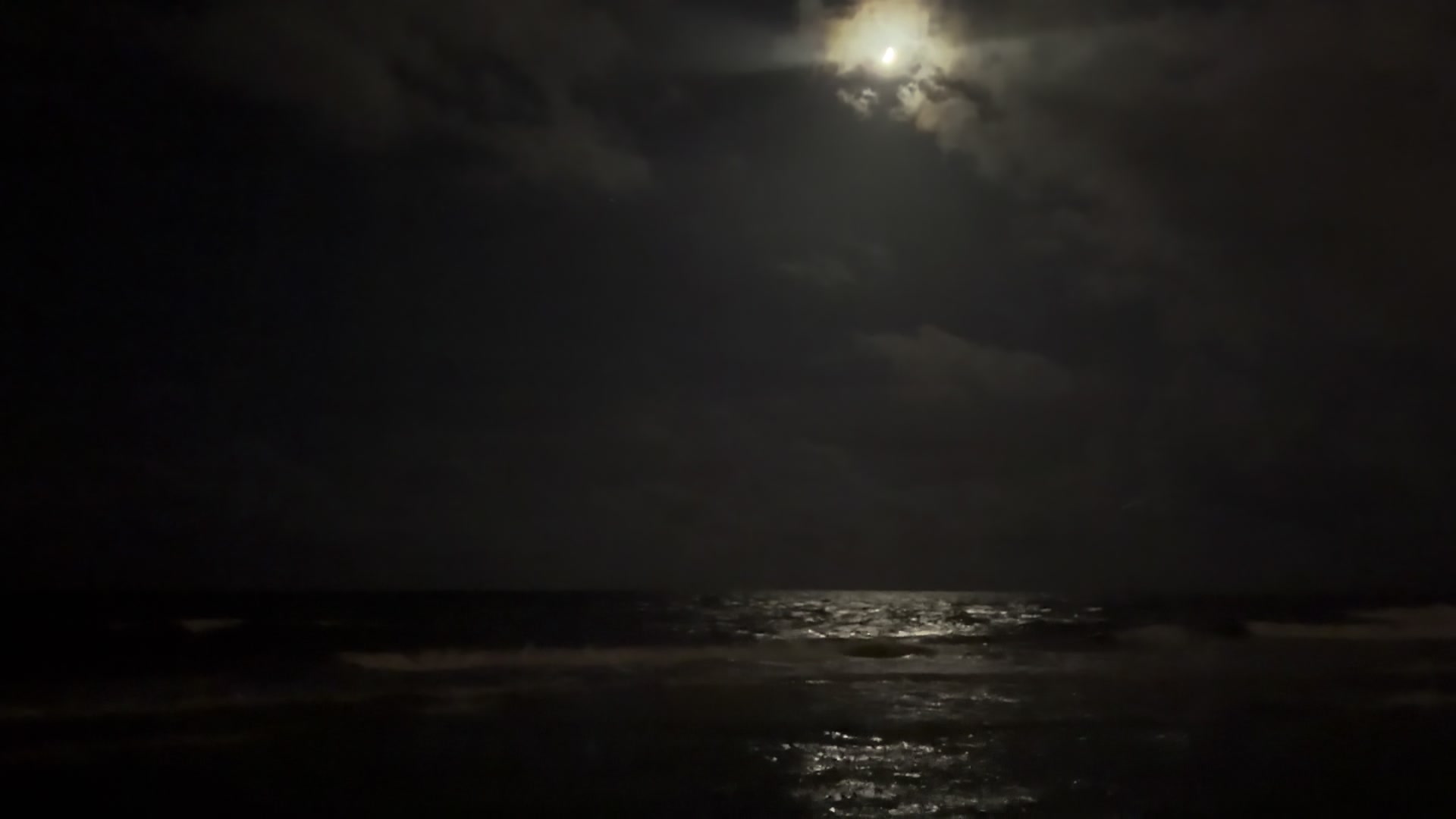 @Noxie 🌙