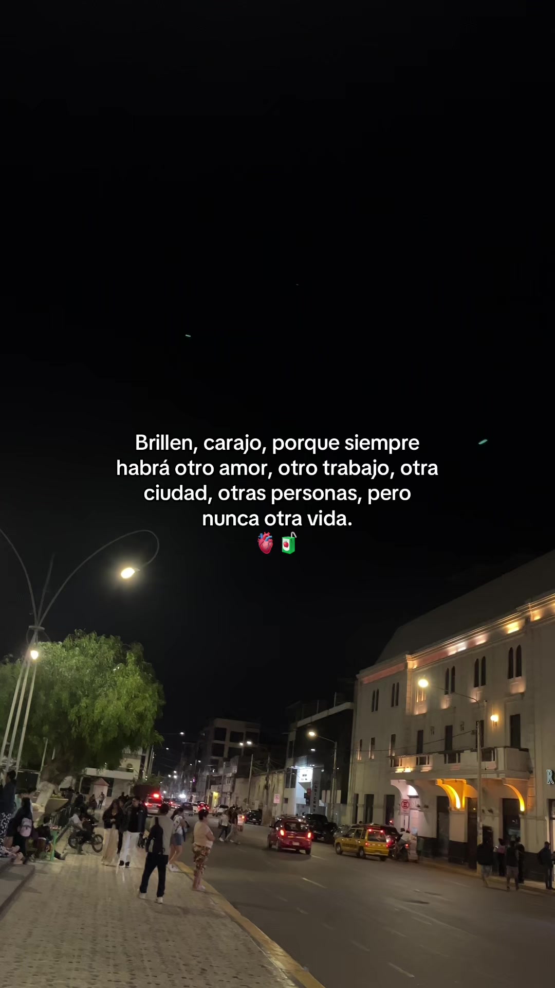 @Gatocix 🐱