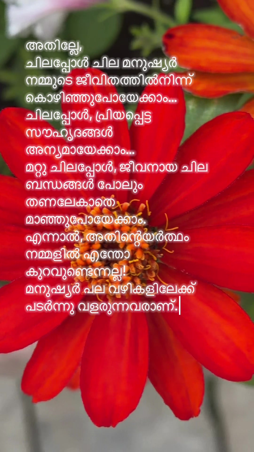 @Anamika
