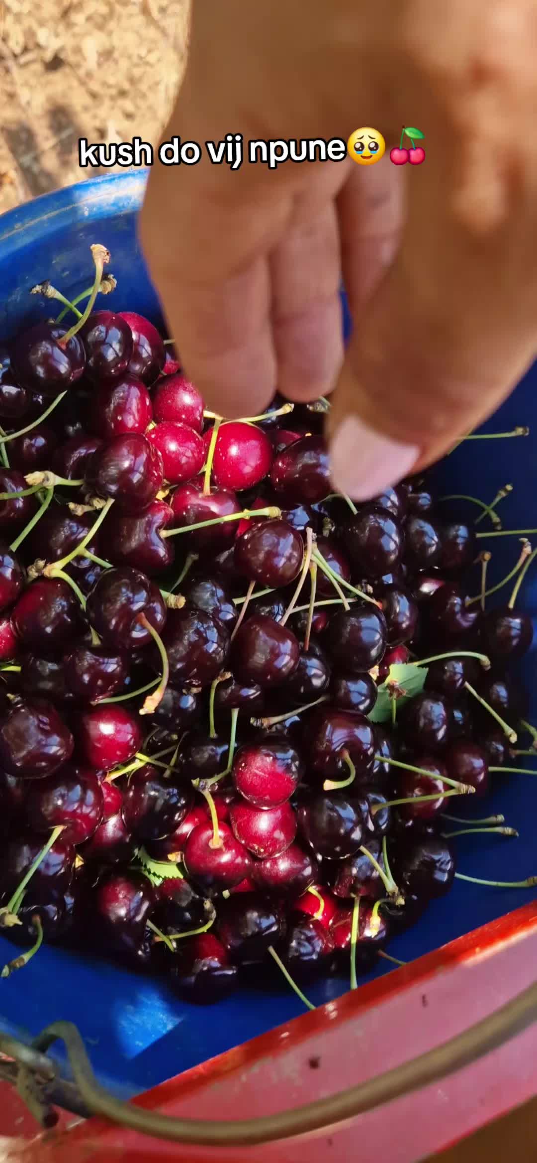 @Gena Qershia36🍒🍒
