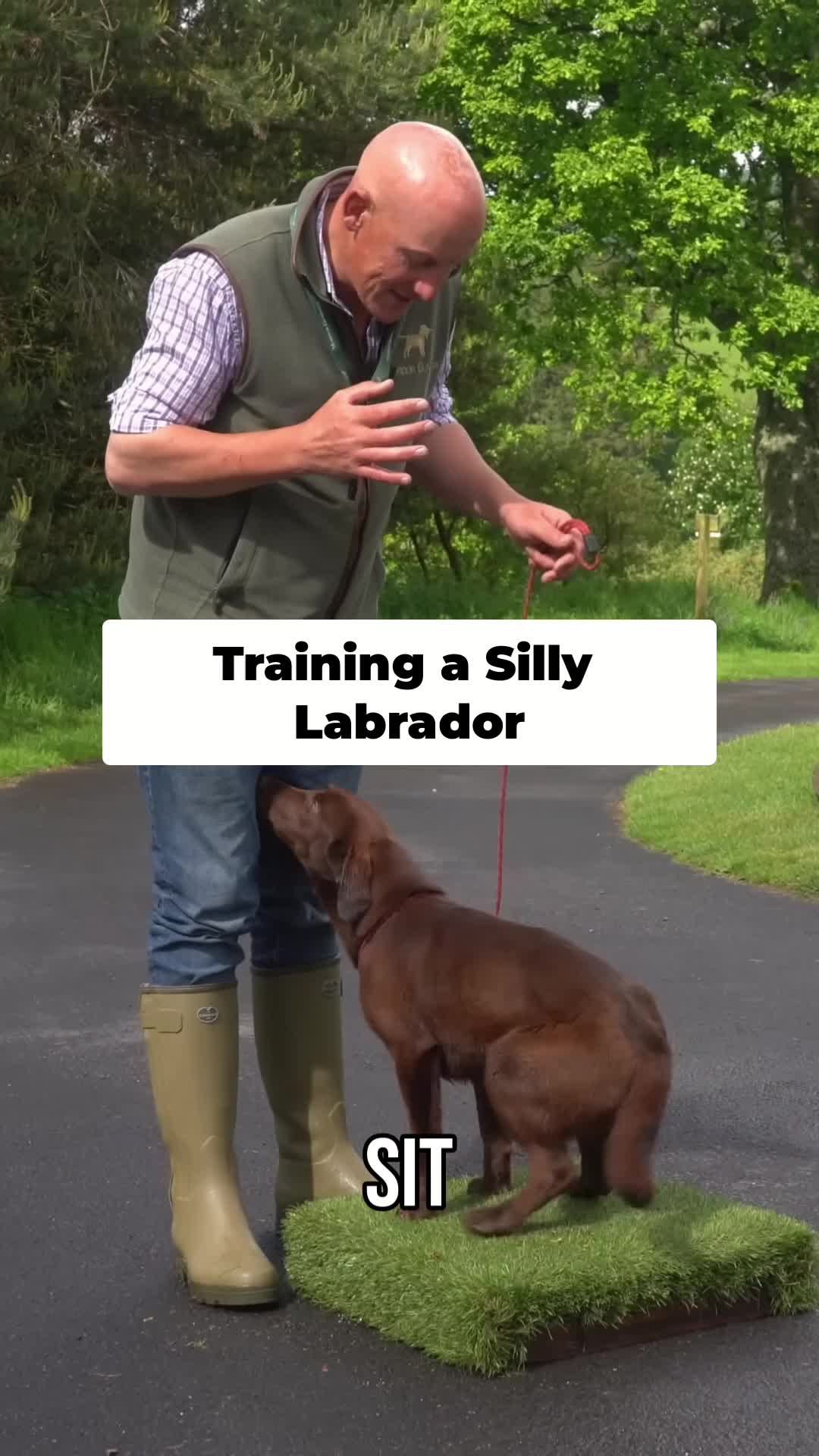 @Mordor Gundogs