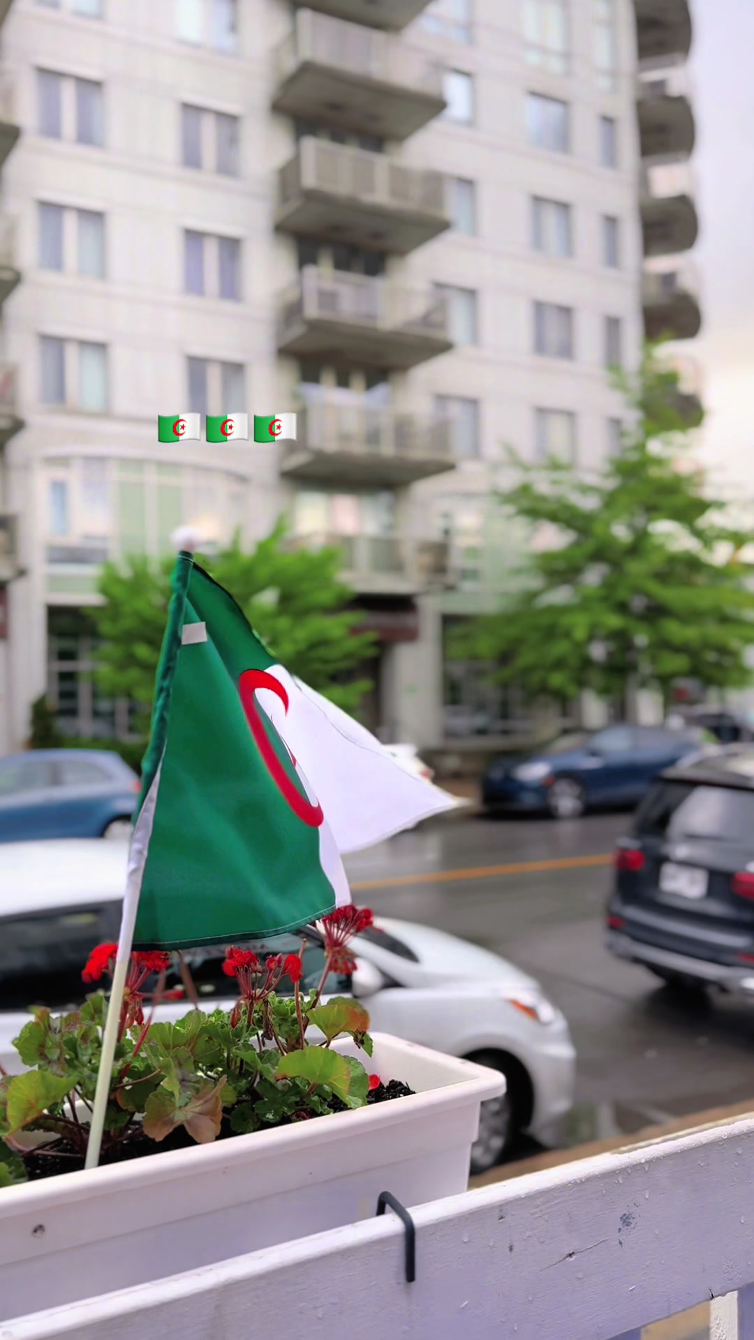 @Mr & Mrs G In Canada 🇩🇿🇨🇦