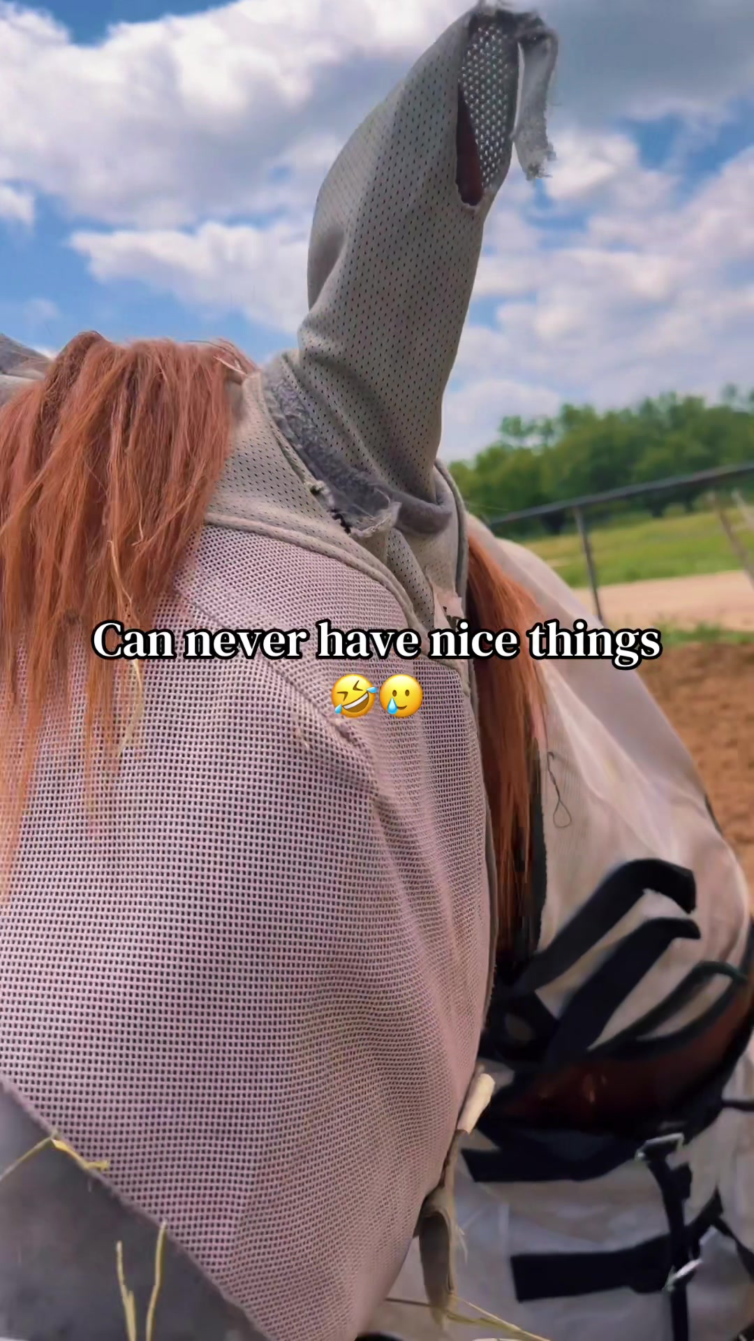 @Cheyenne Fleming