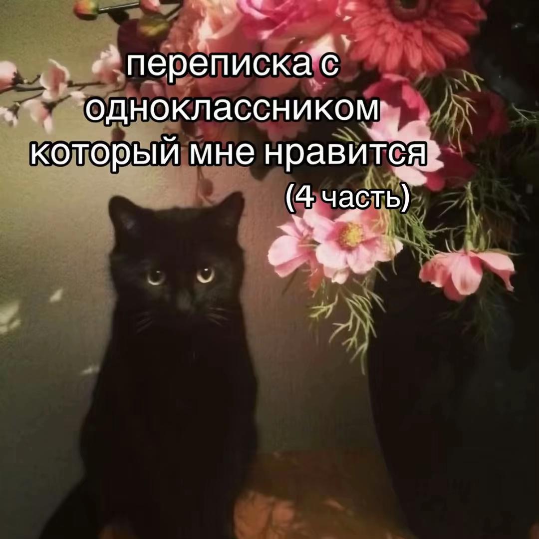 @kissys