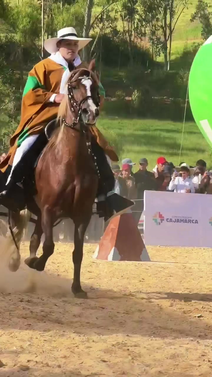 @axel stewart diaz diaz