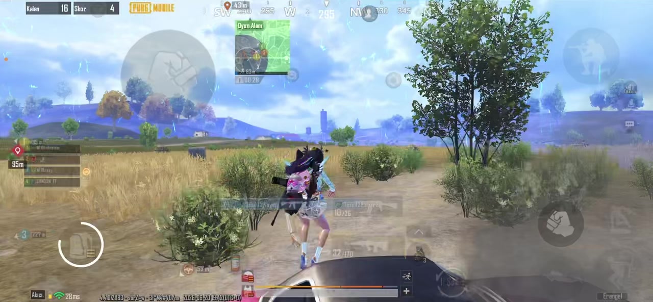 @Shino9W