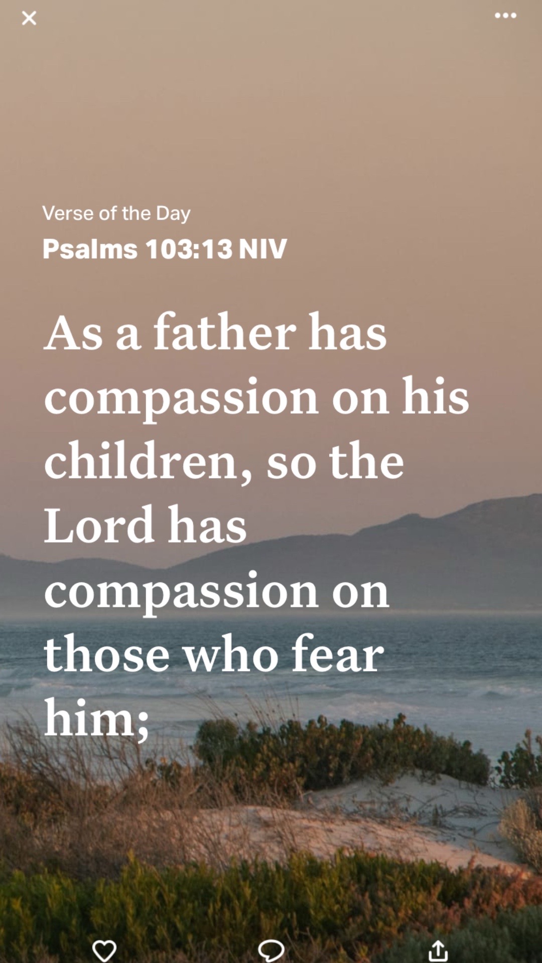 @trustgod✝️✝️✝️