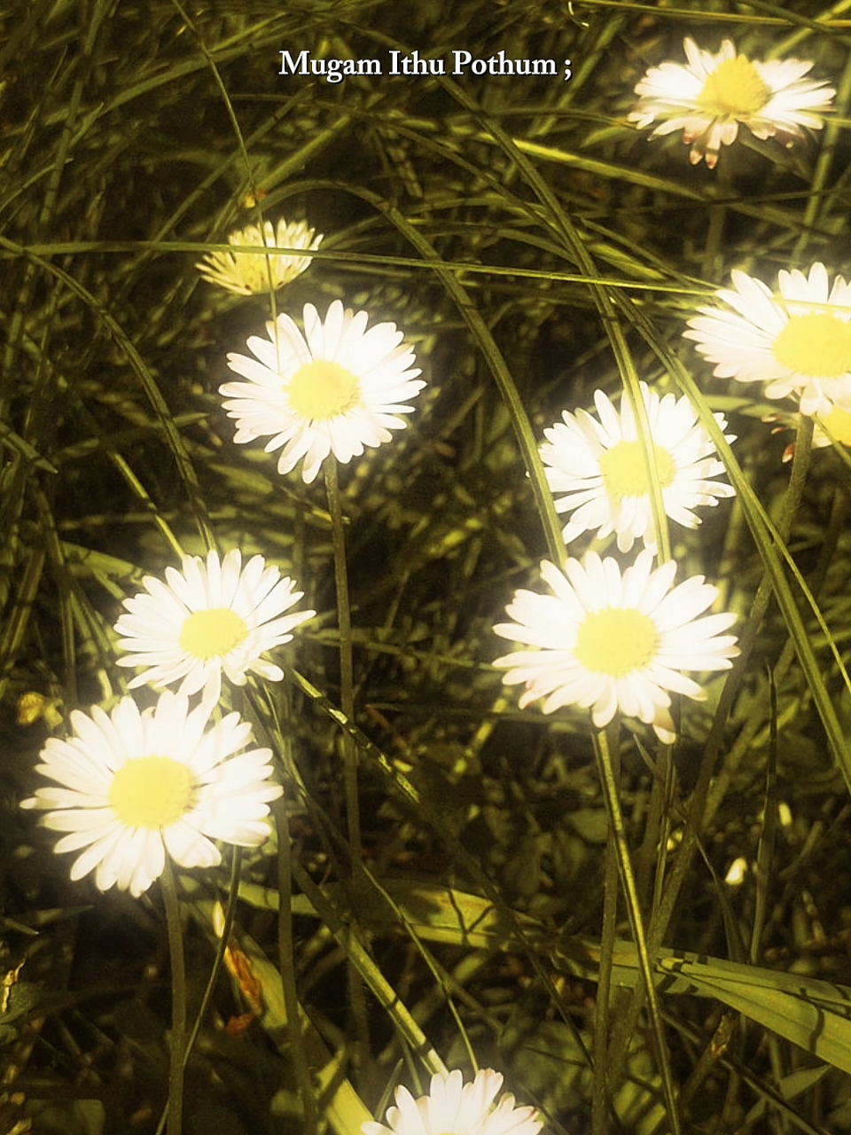 @♡𝐅𝐀𝐋𝐋𝐈𝐍𝐌𝐔𝐒𝐈𝐂♡