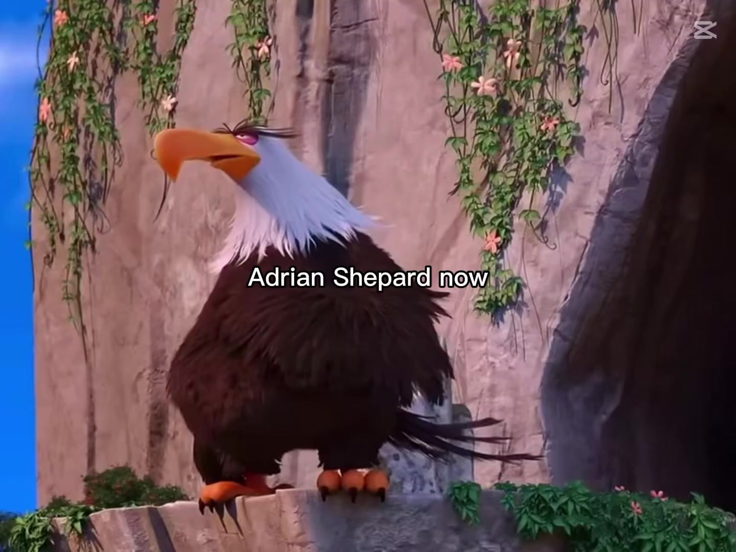 @arshek