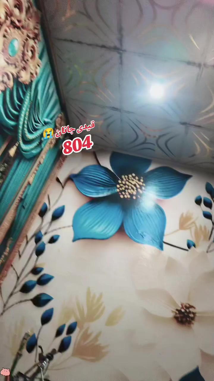 @NK  Jan 804