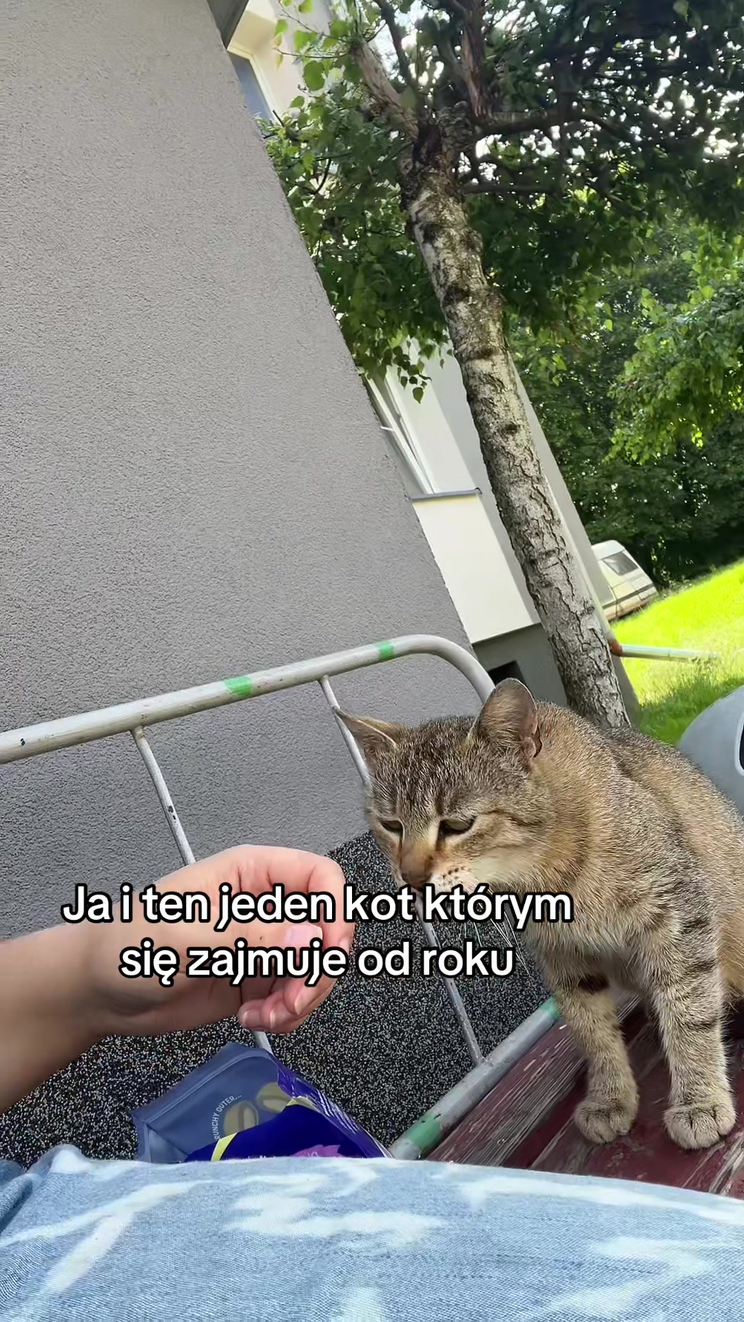 @vxmer