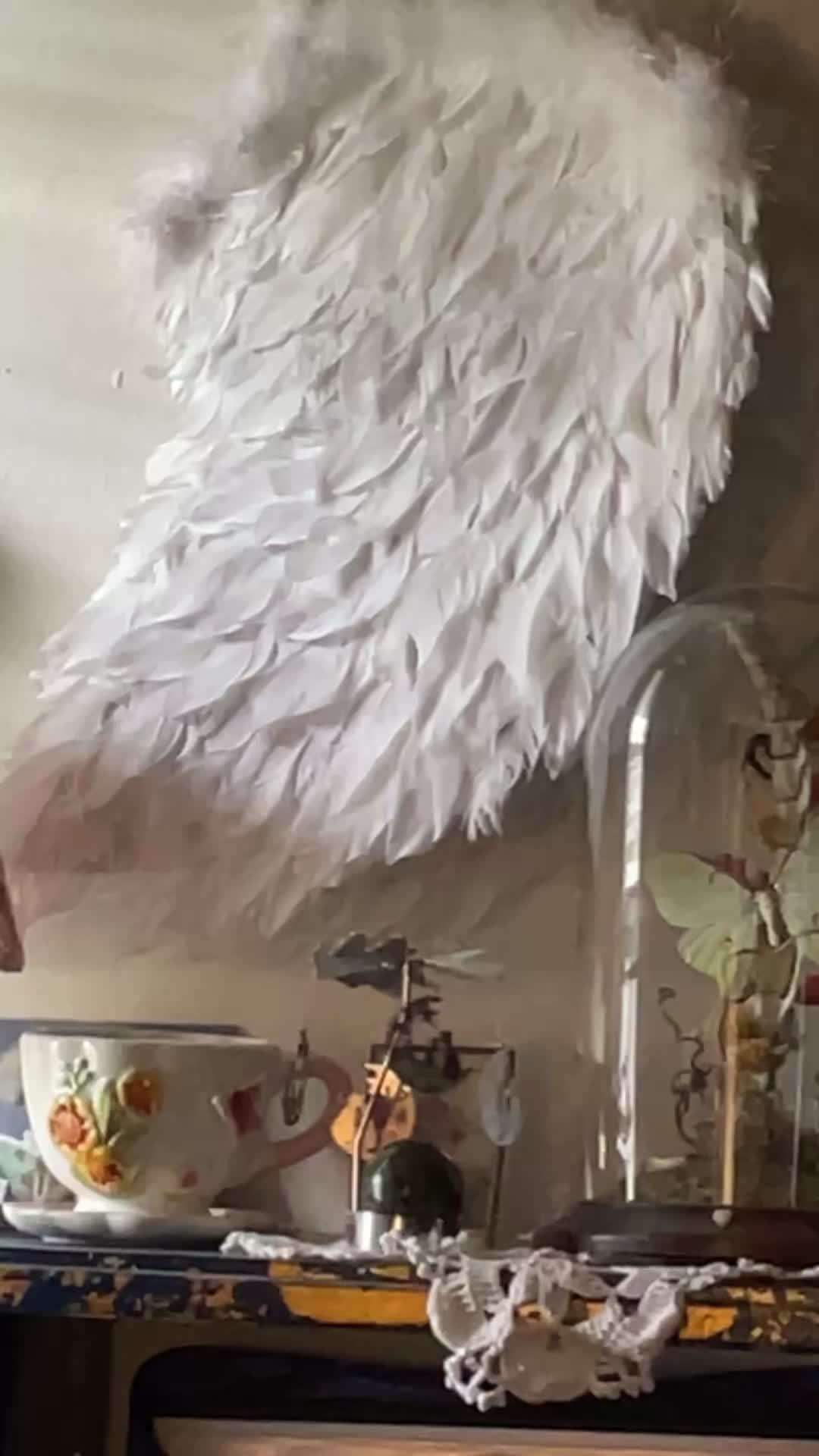 @Divine Creations