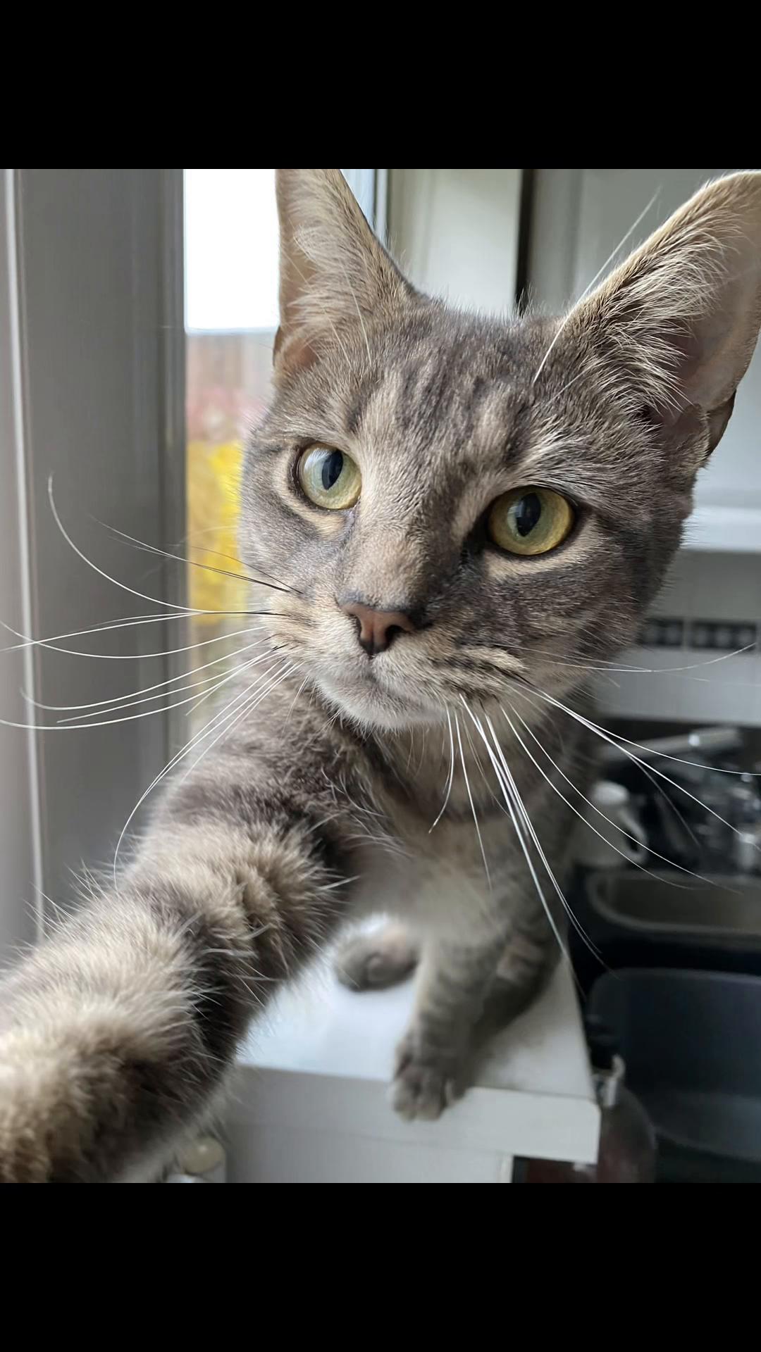 @catlady19570