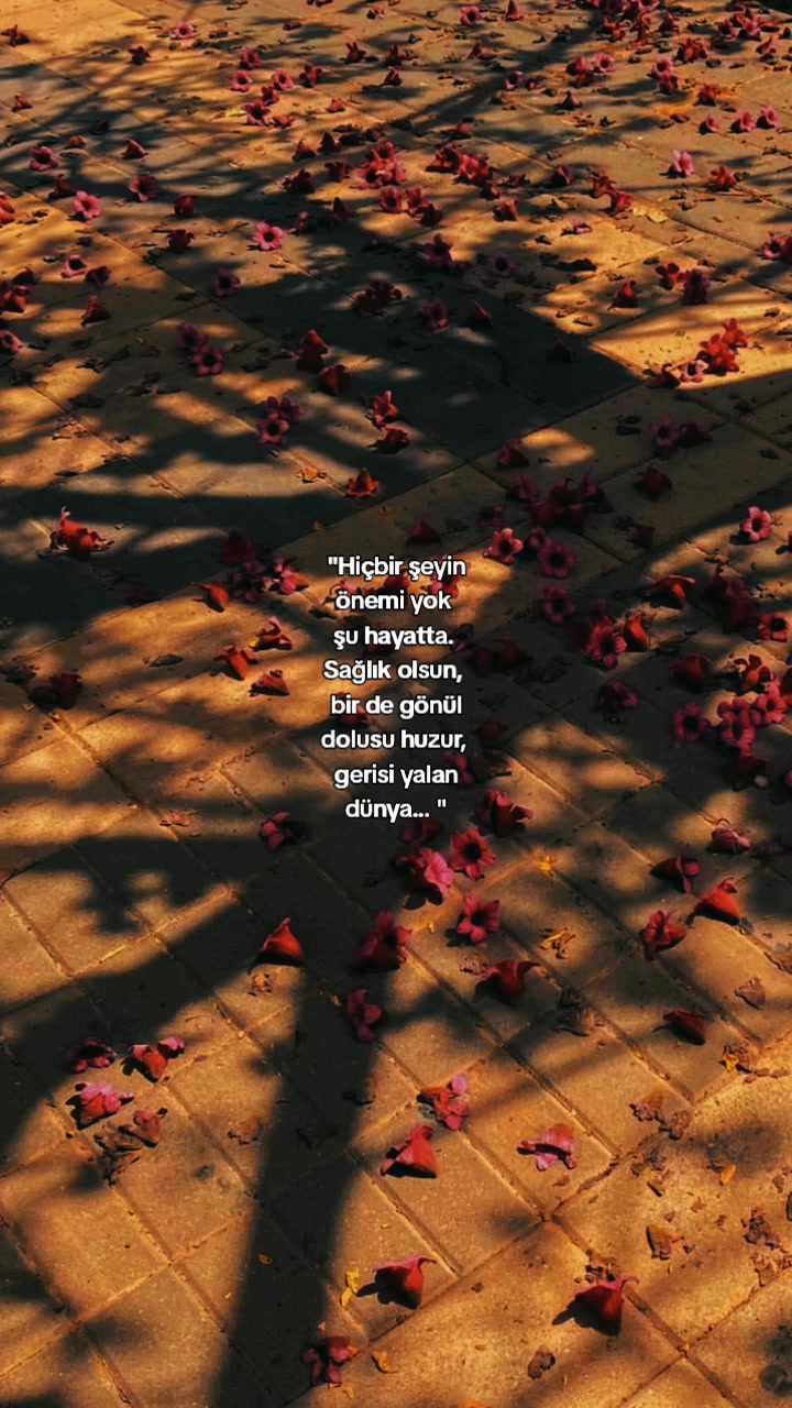 @𝑨𝒅𝒆𝒍&𝒎𝒊𝒓_𝟔𝟕𝟔𝟕