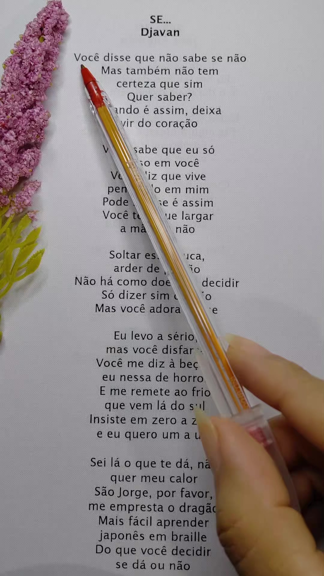 @nacionais lyrics