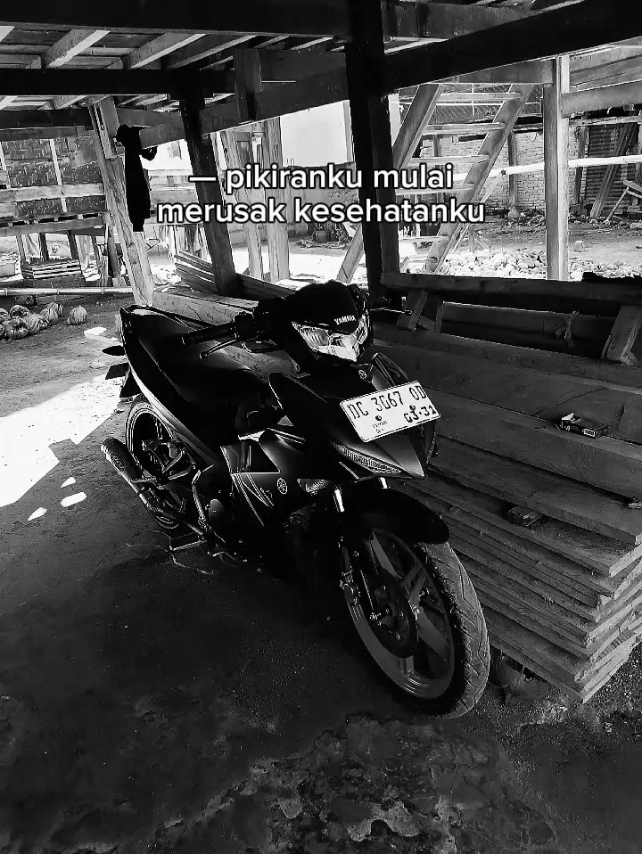 @Mx bocil🚀