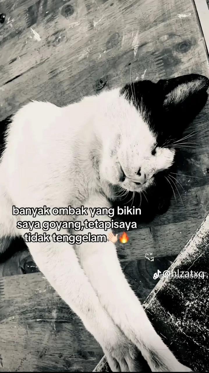 @🦋callme R🌈