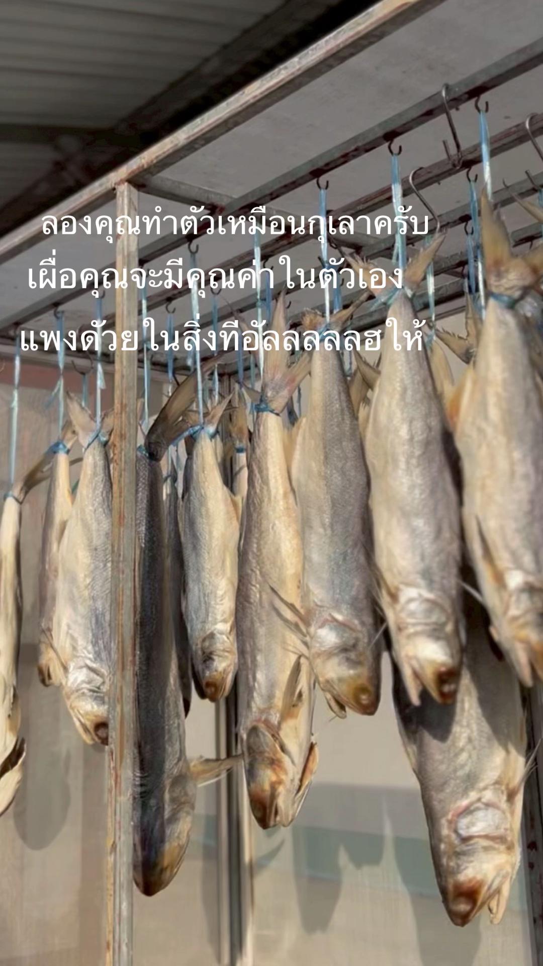 @ซามากูน