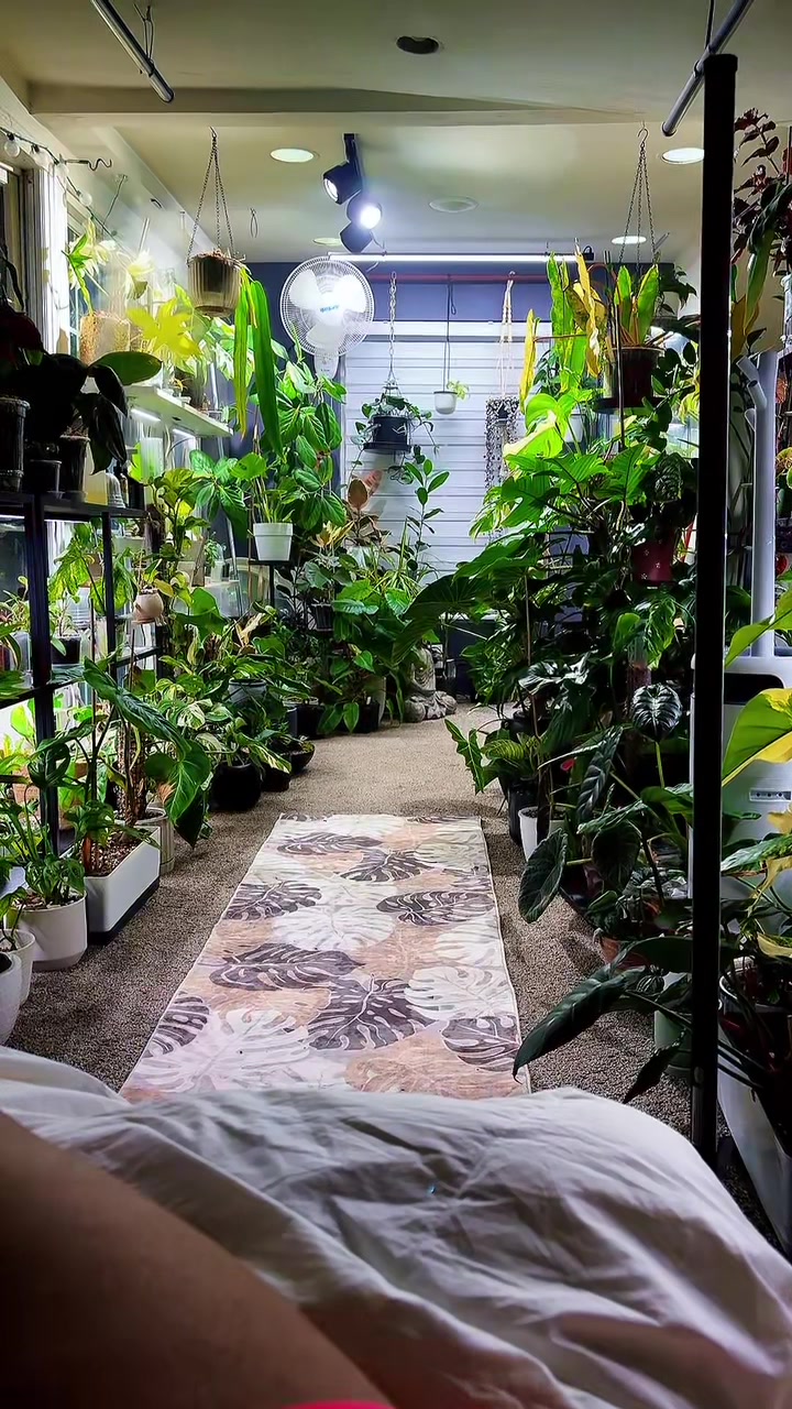 @PlantLadyNico🪴
