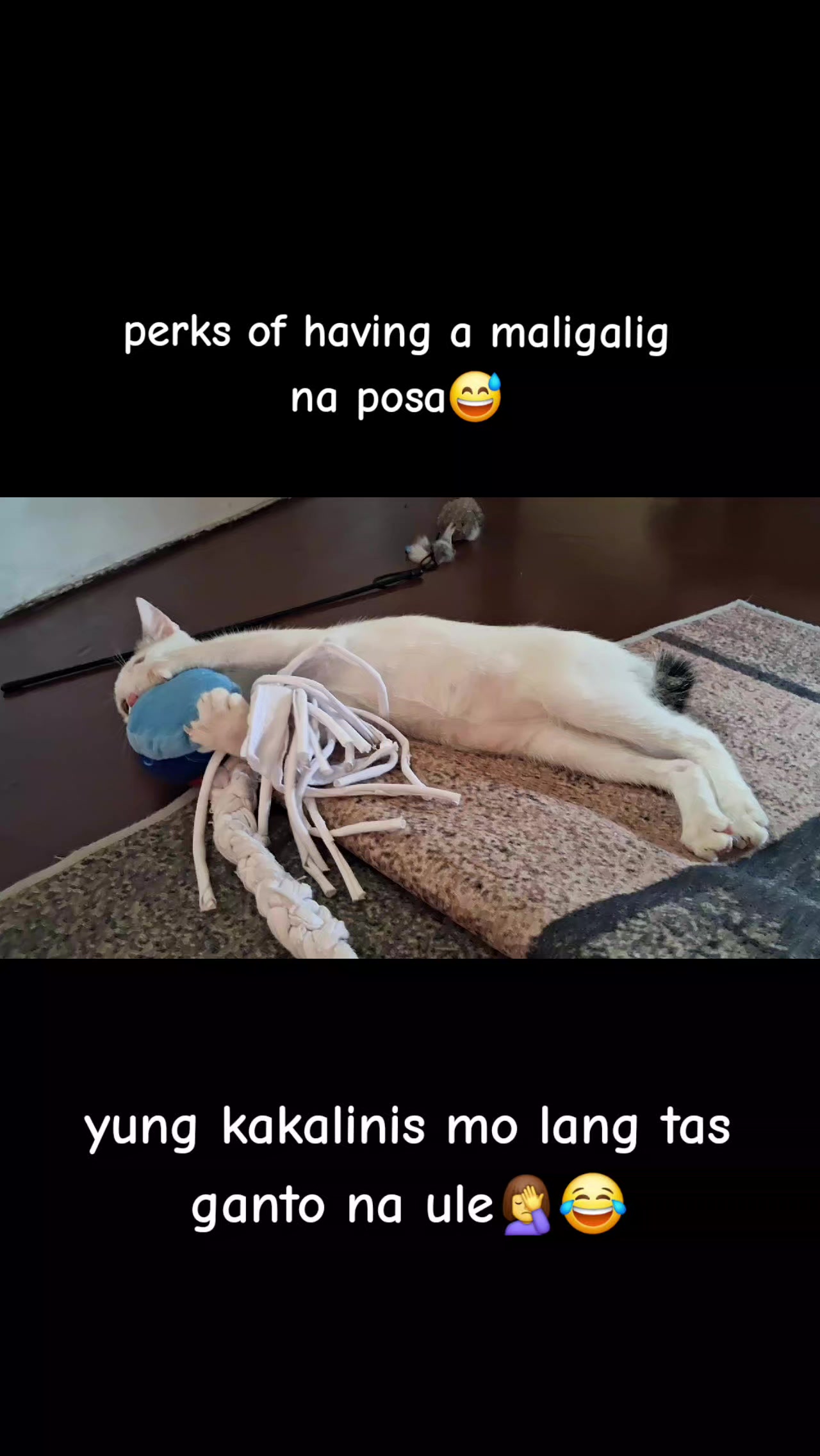 @cathl33n🤘