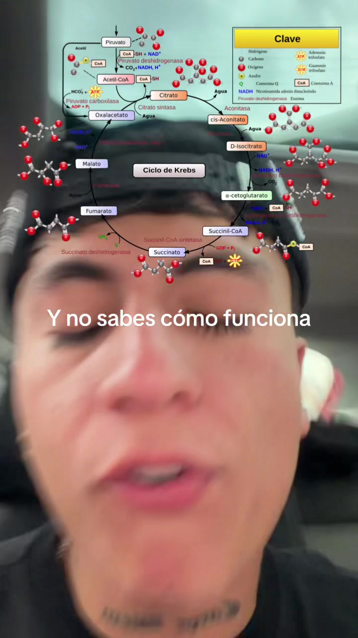 @ENDOBOY