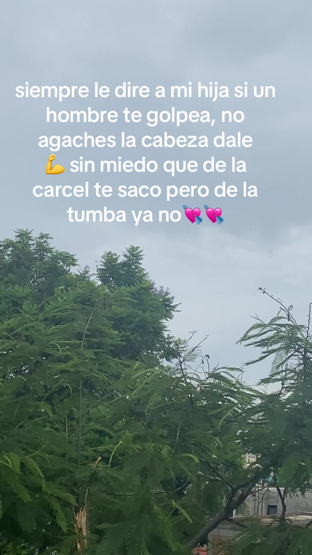 @zeri_065