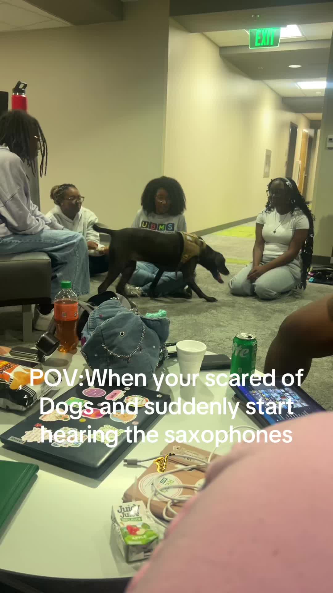 @NeciyKnowsHair🎀💇🏾♀️