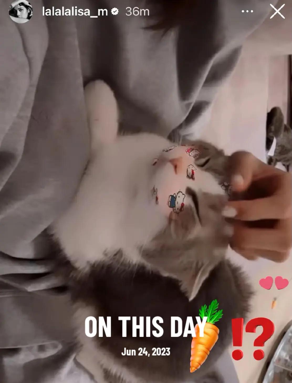 @ᴊᴄᥫ᭡