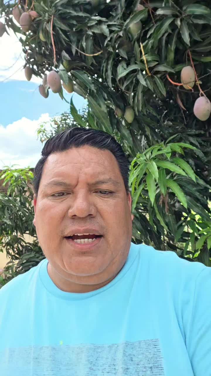 @juanmorales36137