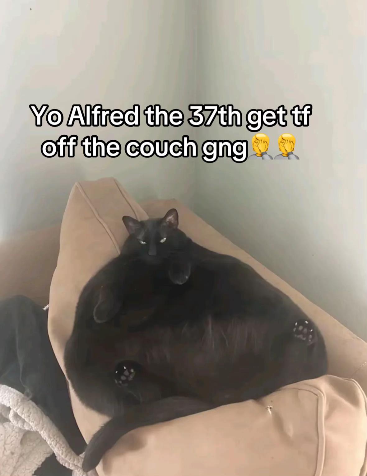 @klawhqqz
