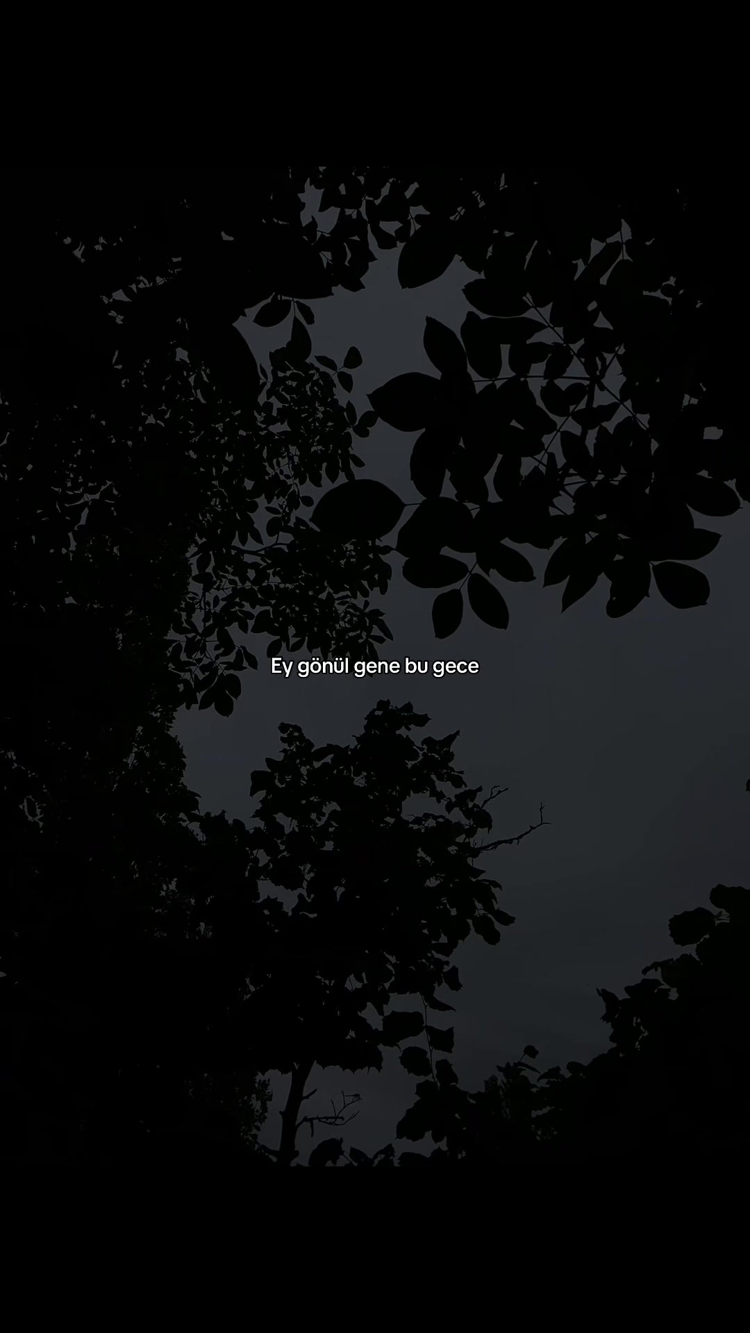 @𝓜.
