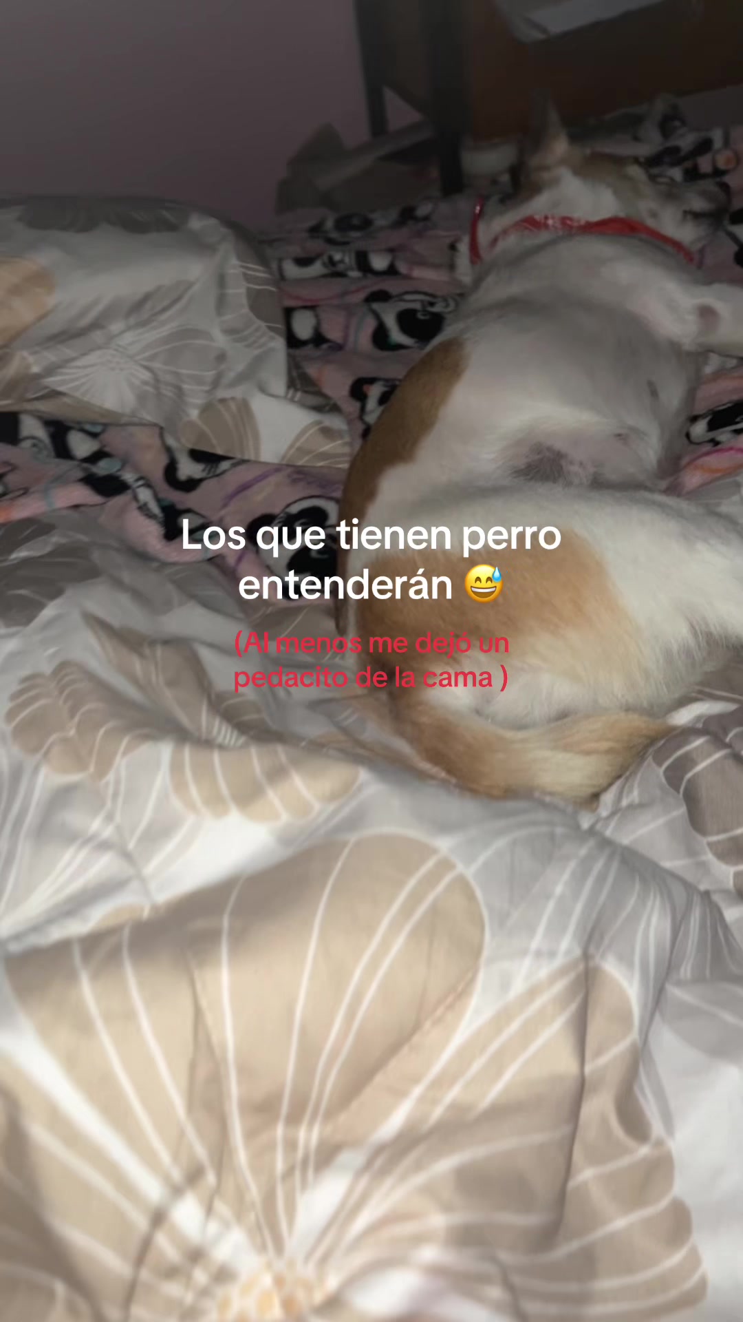 @Vicky