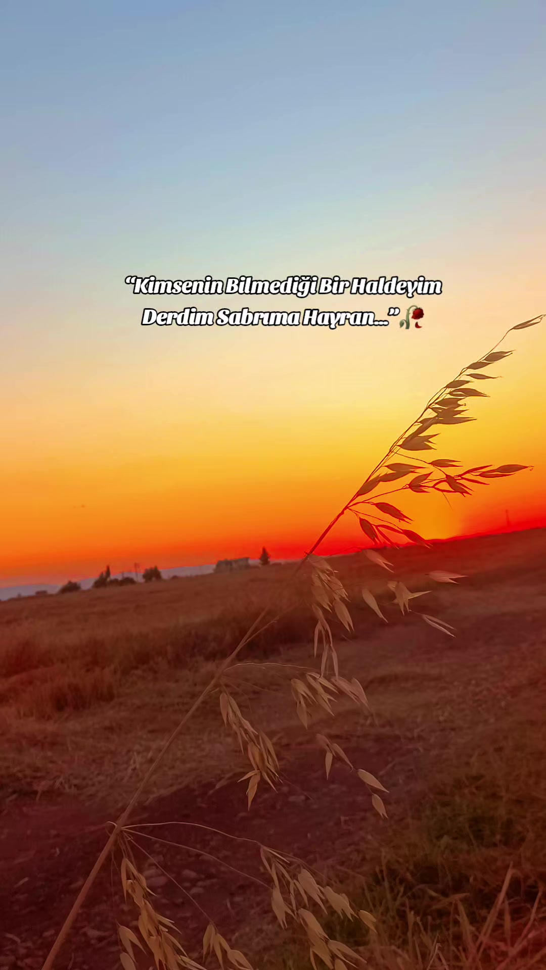 @𝐒 𝐓 𝐄 𝐑 𝐊 ✷