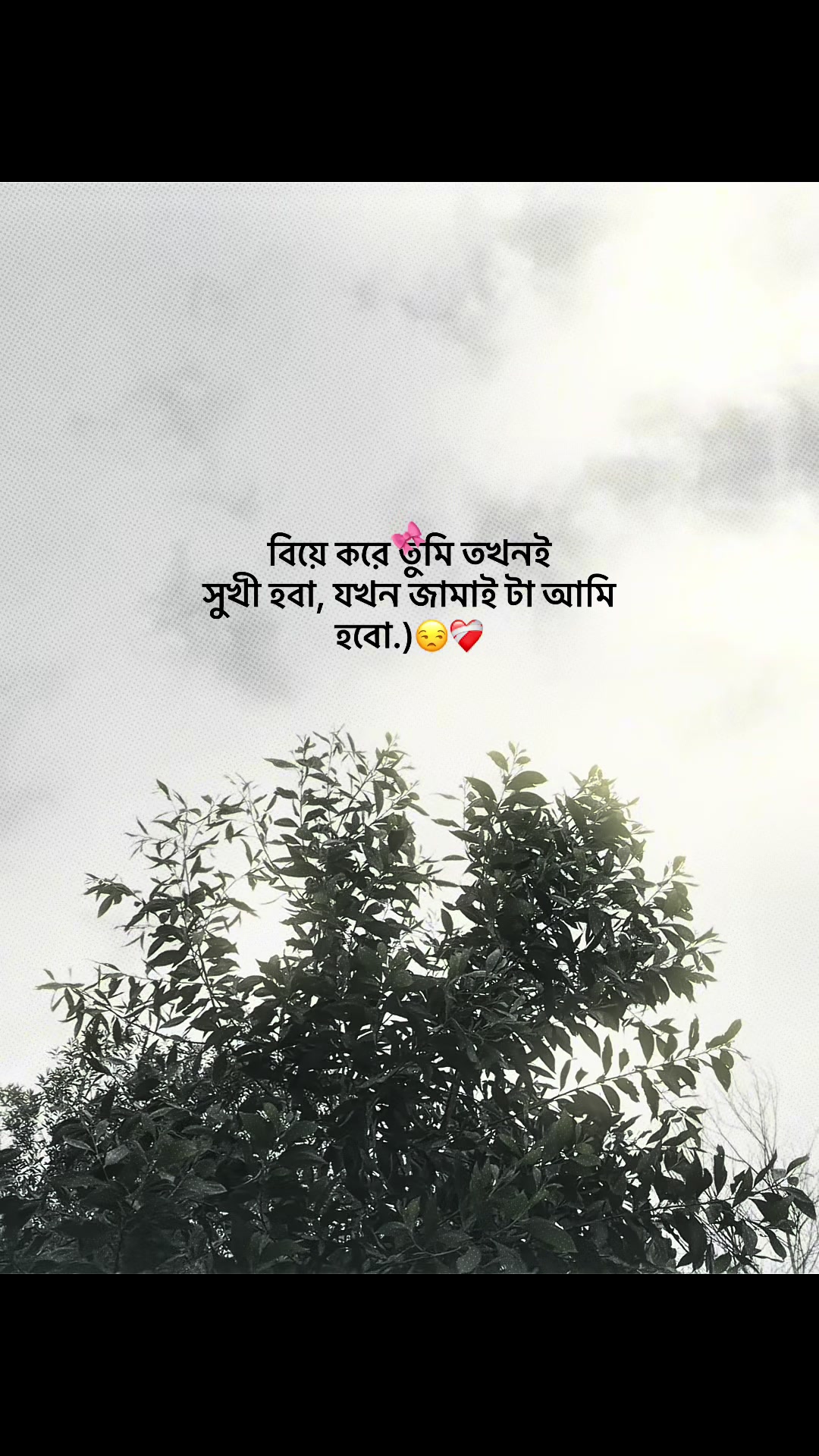@आईएएन ┊🐥