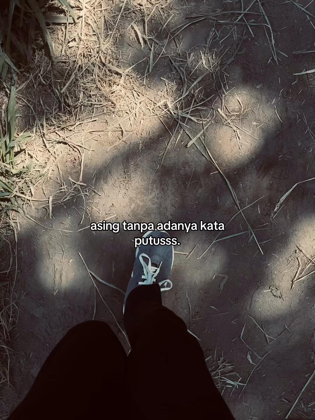 @z&sigma;&eta;&alpha;&ensp;g&alpha;ℓ&alpha;&upsilon;